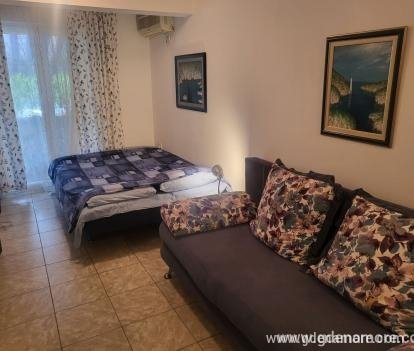 Apartment Djenovici, private accommodation in city Djenović, Montenegro