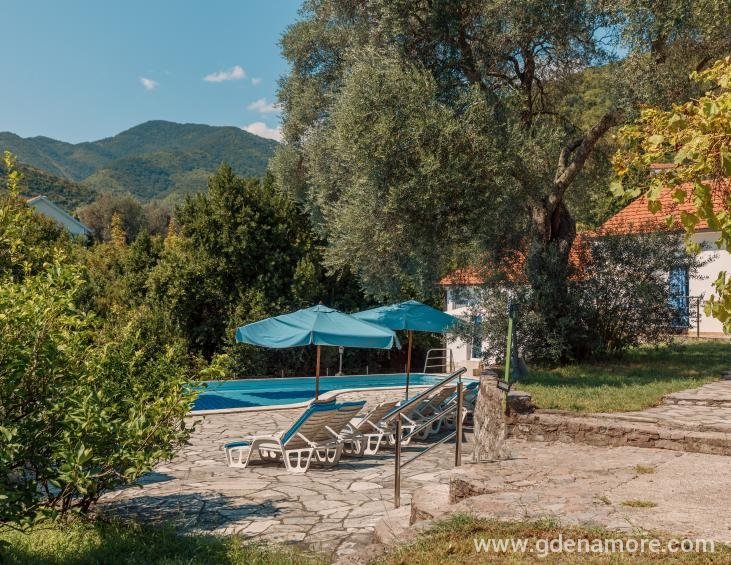 DVORI&amp;amp;amp;amp;amp;amp;Scaron;TE