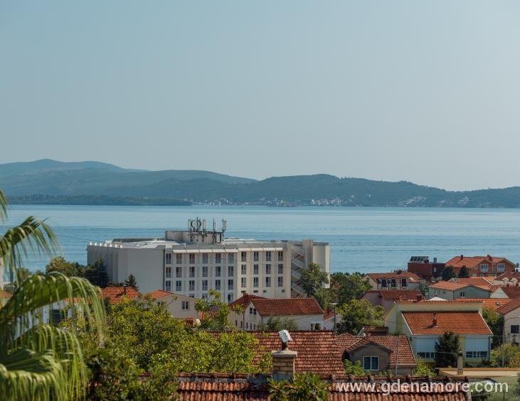 POGLED