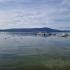 TONDO TIVAT, Privatunterkunft im Ort Tivat, Montenegro - IMG-7d217a3c66731fbbf3d1708a9e85f385-V