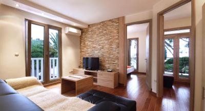 Appartment Dangubic, private accommodation in city Petrovac, Montenegro