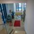 Apartmani Berlin , Privatunterkunft im Ort Donji Stoj, Montenegro - 553611380