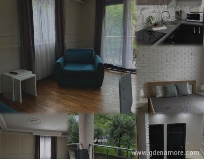Appartement Vuković, logement privé à Bečići, Mont&eacute;n&eacute;gro - IMG-20240509-WA0005