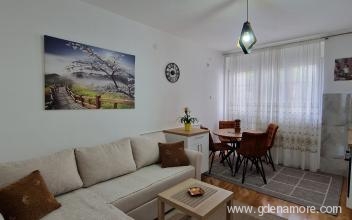 Apartmaji Boro, zasebne nastanitve v mestu Šušanj, Črna gora