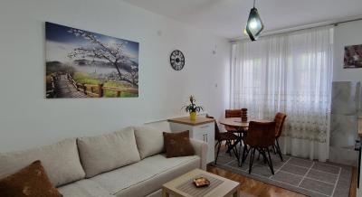 Apartments Boro, private accommodation in city Šušanj, Montenegro