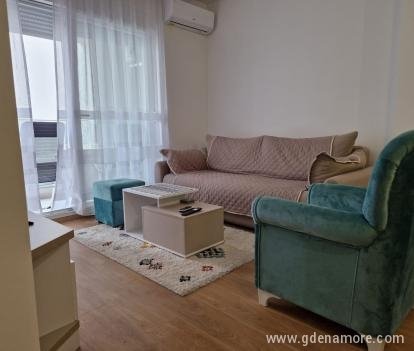 Bulatovic apartment, private accommodation in city Budva, Montenegro