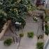 Apartman, частни квартири в града Zelenika, Черна Гора - viber_image_2024-05-18_19-12-08-404