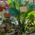 Guest house Gavrilovic, private accommodation in city Igalo, Montenegro - 20230703_175438