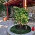 Guest house Gavrilovic, private accommodation in city Igalo, Montenegro - 20230703_175457