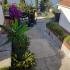 Guest house Gavrilovic, private accommodation in city Igalo, Montenegro - 20230703_175603