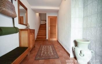 Square apartments Old town, private accommodation in city Budva, Montenegro