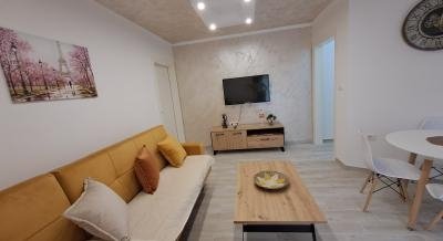 Apartmani Dunja, privat innkvartering i sted Tivat, Montenegro