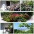 Apartmani &quot;M&quot; Zelenika, logement privé à Zelenika, Mont&eacute;n&eacute;gro - IMG-f098ef70b6a82e5da90d657a1ab68b14-V
