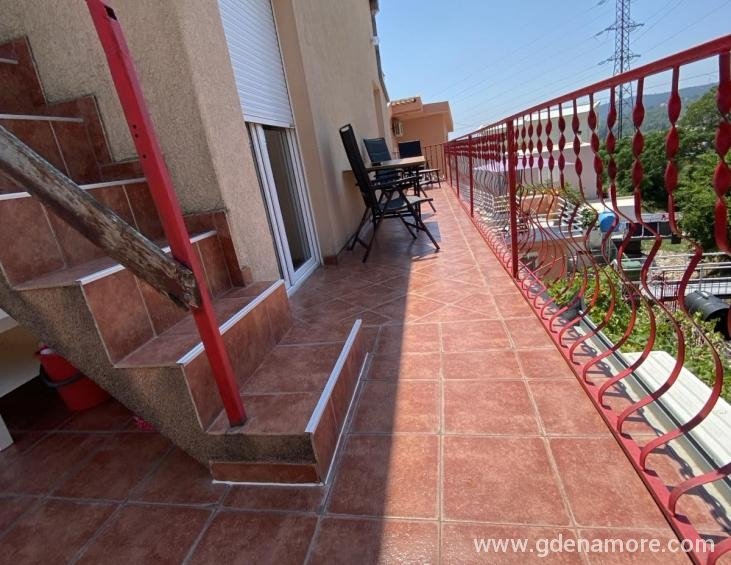 viber_image_2024-08-08_20-06-43-673