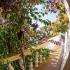 Guest House Lotos, alloggi privati a Bečići, Montenegro - 223751429