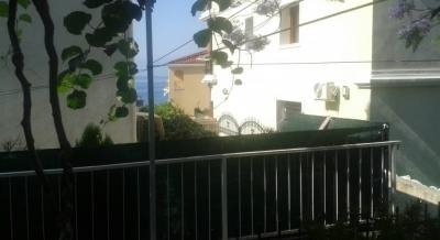 Apartment Rajka, private accommodation in city Herceg Novi, Montenegro