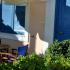 Kalypso Hotel, Privatunterkunft im Ort Poros, Griechenland - Screenshot_9