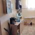 Apartmaji Balena, zasebne nastanitve v mestu Obzor, Bolgarija - IMG_20240706_122952
