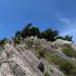 Hotel Sara , alloggi privati a Sutomore, Montenegro - photo_5870771336861828581_y