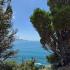Hotel Sara , alloggi privati a Sutomore, Montenegro - photo_5870771336861828582_y