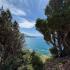 Hotel Sara , alloggi privati a Sutomore, Montenegro - photo_5870771336861828583_y