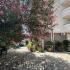 Apartments Anastasija, privatni smeštaj u mestu Bečići, Crna Gora - 0-02-05-3dcc9e9884c625e24ad4ac1c638fa85ce1ef51339b