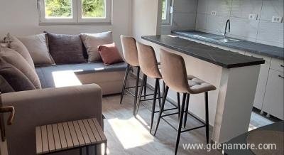 Hedona apartman, Magán szállás a községben Topla, Montenegró