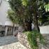Apartments Anastasija, privatni smeštaj u mestu Bečići, Crna Gora - 0-02-05-ebb61c1dc337de8811c84f922750214833a3358b7c