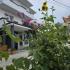 Villa Grafenberg, alojamiento privado en Ulcinj, Montenegro - 20250713_165853