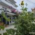 Villa Grafenberg, alojamiento privado en Ulcinj, Montenegro - 20250713_165853_7FsoEYX5Na