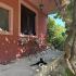 Apartma Olga, zasebne nastanitve v mestu Kotor, Črna gora - IMG_1974
