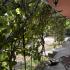 Apartma Olga, zasebne nastanitve v mestu Kotor, Črna gora - IMG_1975