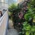Apartman Rajka, Magán szállás a községben Igalo, Montenegr&oacute; - viber_image_2025-07-06_09-49-25-603