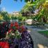 VILLA DIMITRIS, zasebne nastanitve v mestu Paralia Panteleimona, Grčija - GARDEN