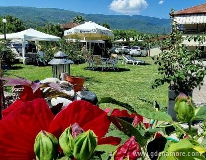 VILLA DIMITRIS, zasebne nastanitve v mestu Paralia Panteleimona, Grčija - VILLA DIMITRIS GARDEN