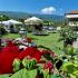VILLA DIMITRIS, zasebne nastanitve v mestu Paralia Panteleimona, Grčija - VILLA DIMITRIS GARDEN
