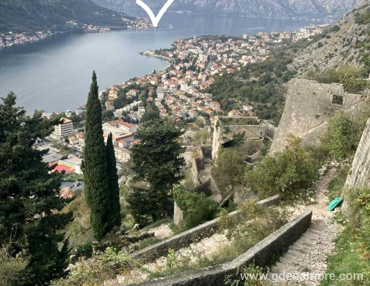 IMG-a3db4bdf4d2926ae0cd82145529d6ea9-V