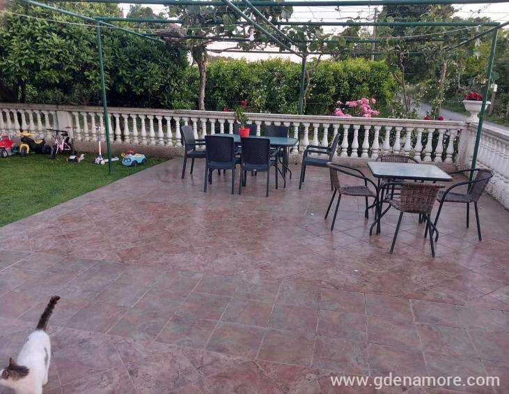 viber_image_2025-11-25_19-54-49-693