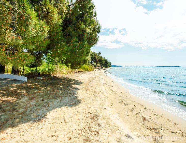 kalalas-studios-skala-rachoni-thassos-52