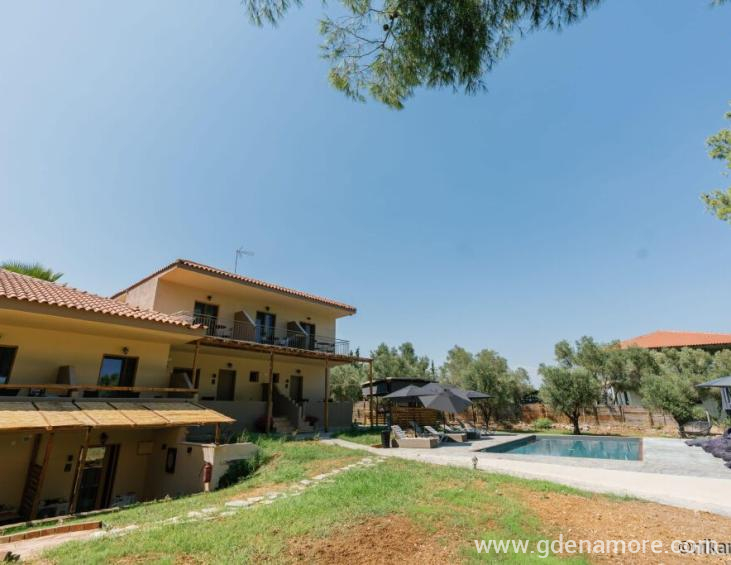 pefkon-suites-afytos-kassandra-30