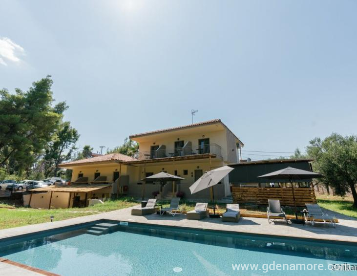 pefkon-suites-afytos-kassandra-33