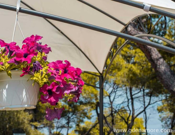 pefkon-suites-afytos-kassandra-3