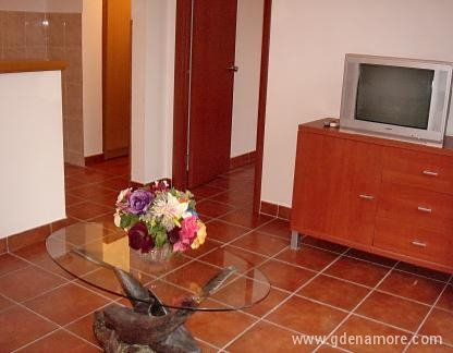 Apartments Odalovic, 2 - room apartment 1st floor, private accommodation in city Bijela, Montenegro