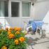 APARTMANI KOPITOVIC, , private accommodation in city Petrovac, Montenegro