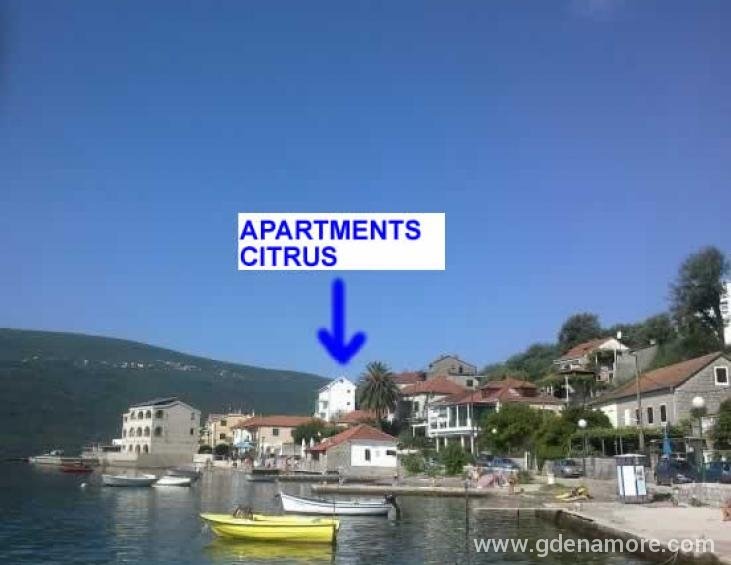 Pogled na apartmane Citrus