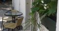 IMG-8d87d377216eaed611d7934a28ad7ffc-V