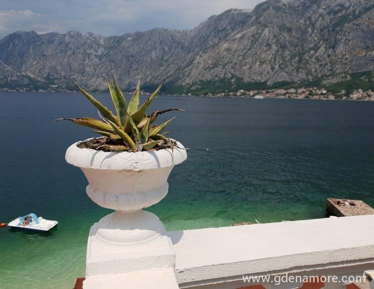 Pogled sa terase