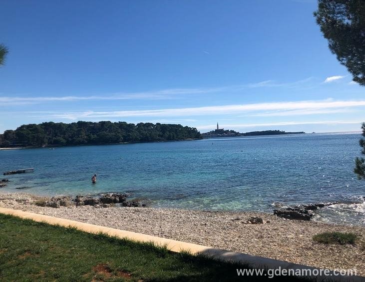 IMG-20181002-WA0007