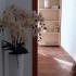 Apartmani Goga, , zasebne nastanitve v mestu Kumbor, Črna gora - IMG-4abb2282031871b22d28c9a60e998b93-V