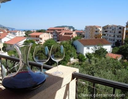 Villa Maslina, , private accommodation in city Budva, Montenegro - 40967681